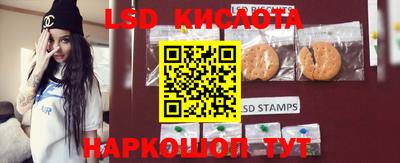 крисы Будённовск