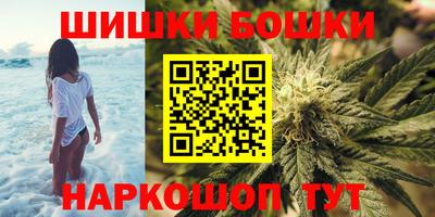 крисы Будённовск