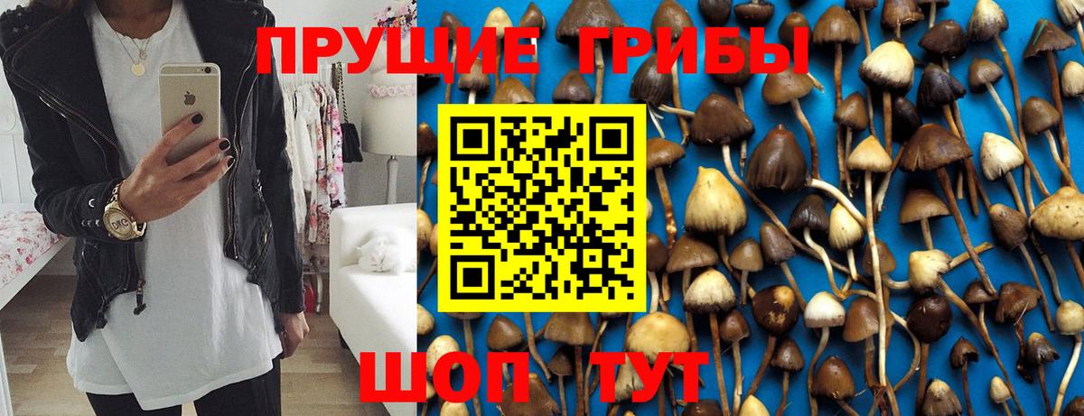 Новоалтайск  Псилоцибиновые грибы ЛСД  Вход с VPN 