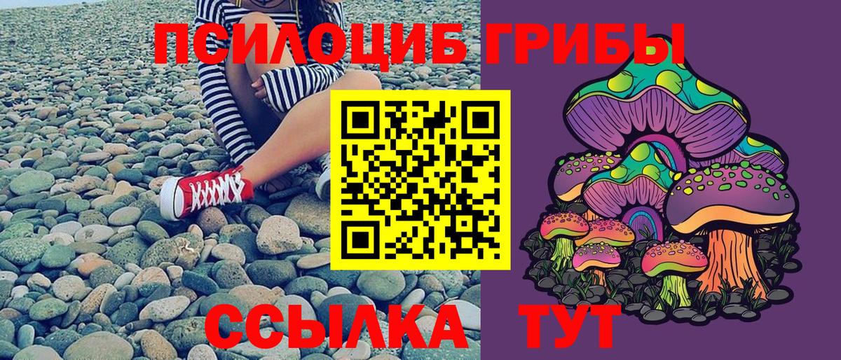 Псилоцибиновые грибы мухоморы Новоалтайск